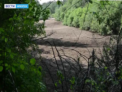 Прокуратура Братска начала поиски виновных в загрязнении реки Вихоревка