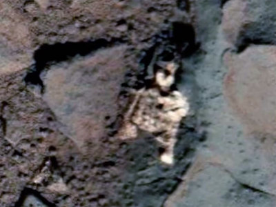 В Сети появились снимки существа, якобы погибшего на Марсе