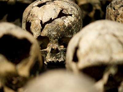 В Мексике обнаружили стену из человеческих черепов