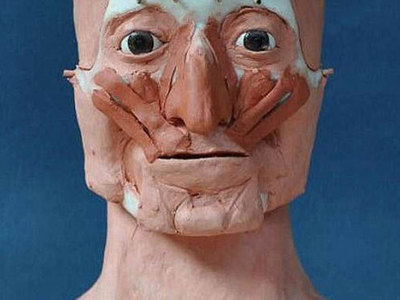 Ученые реконструировали лицо жреца, жившего при Тутанхамоне и Нефертити