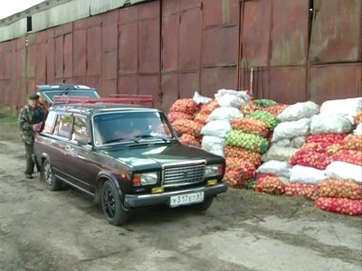 В Смоленской области рекордный урожай яблок