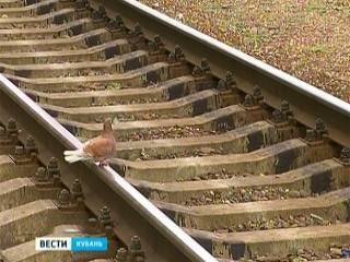 На Кубани предотвратили крупный теракт