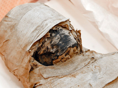 Из-за любви и пенсии житель Ессентуков три года жил с соленой мумией своей матери