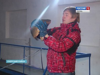 107 семейных и начинающих фермеров Прикамья получат гранты