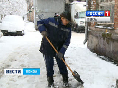 Семь районов Пензенской области остались без электроснабжения из-за снегопада