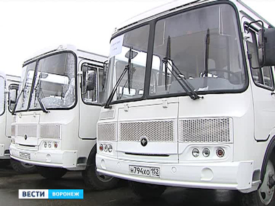 Для районов Воронежской области закупили партию новых автобусов