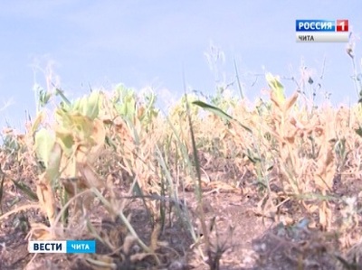 На компенсацию ущерба забайкальским аграриям выделено 360 млн рублей