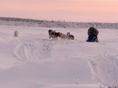 Езда на оленях и собаках: военморы Арктики провели необычные учения