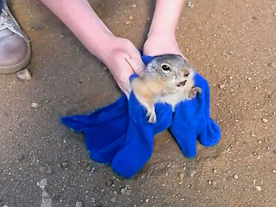     ,     
