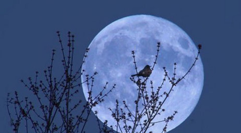 Подарки небес: "двойная" Голубая Луна, космический поцелуй и серебристые облака