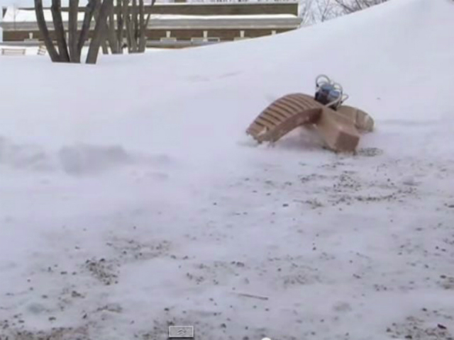 Робот штурмует сугроб снега при температуре -9 градусов по Цельсию (кадр из видео NewScientist/YouTube).