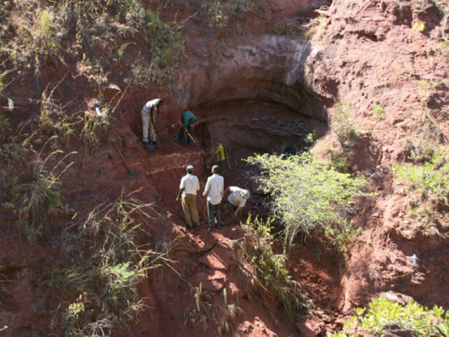 Команда исследователей на месте раскопок в Танзании (фото Patrick O'Connor, Ohio University). 