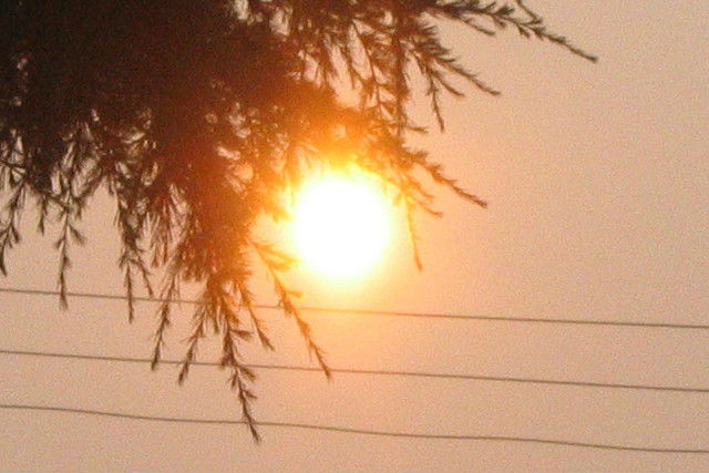 Аномальная жара летом 2010 года в Японии, возможно, спровоцировала смерть младенцев мужского пола (фото Jennifer Boyer/Flickr).