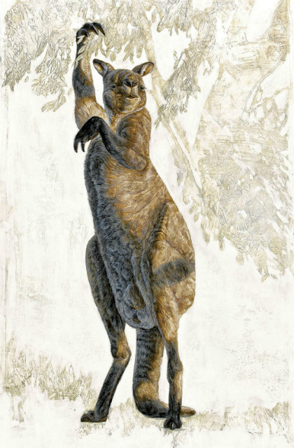 Древние кенгуру не умели прыгать (иллюстрация NGS).