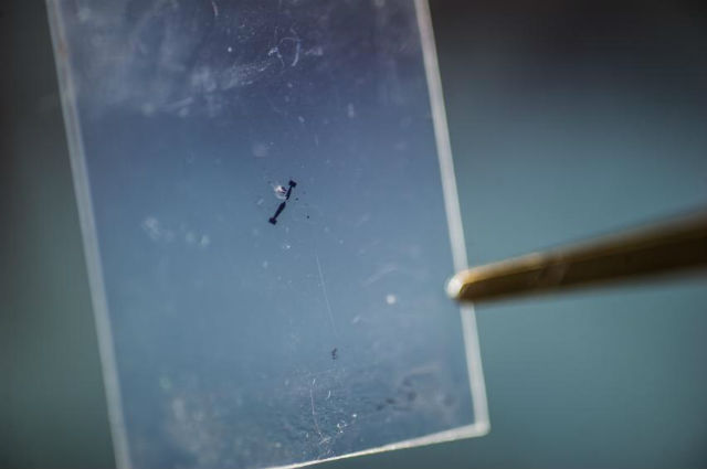 Двумерный пласт дисульфида молибдена может стать электрогенератором будущего (фото Rob Felt/Georgia Tech).