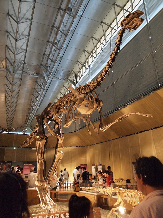 Гиганторапотр, один из овирапторозавров, вырастал до 8 метров в длину и весил несколько тонн (фото Kondo Atsushi/Wikimedia Commons). 