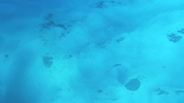 Кадр с видео, заснятого NUI во время испытаний (фото Deep Submergence Lab, Woods Hole Oceanographic Institution). 