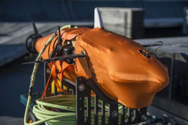 Длина каждого аппарата GhostSwimmer составляет 1,5 метра, а вес — около 45 килограммов (фото U.S. Navy/Edward Guttierrez III). 