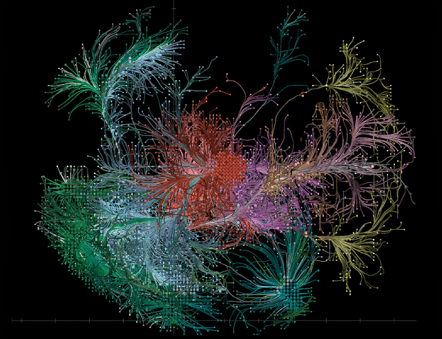 Нейроны головного мозга мыши (иллюстрация Allen Institute for Brain Science).