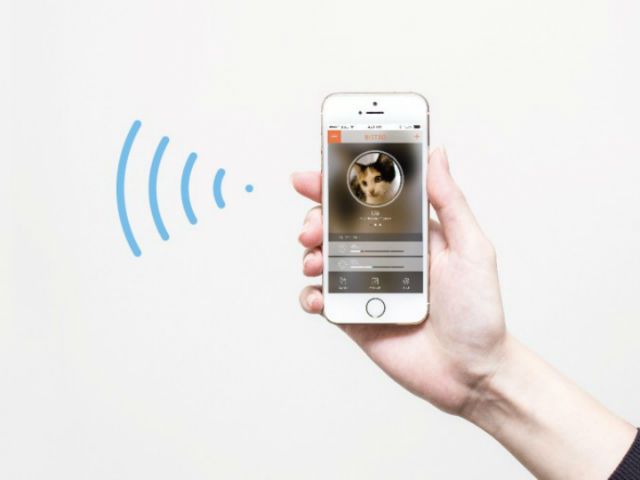 Приложение позволит следить за показателями здоровья кота и заодго самим котом (иллюстрация Bistro). 